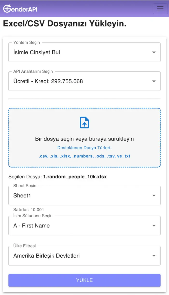 Gender API Excel CSV Uygulaması