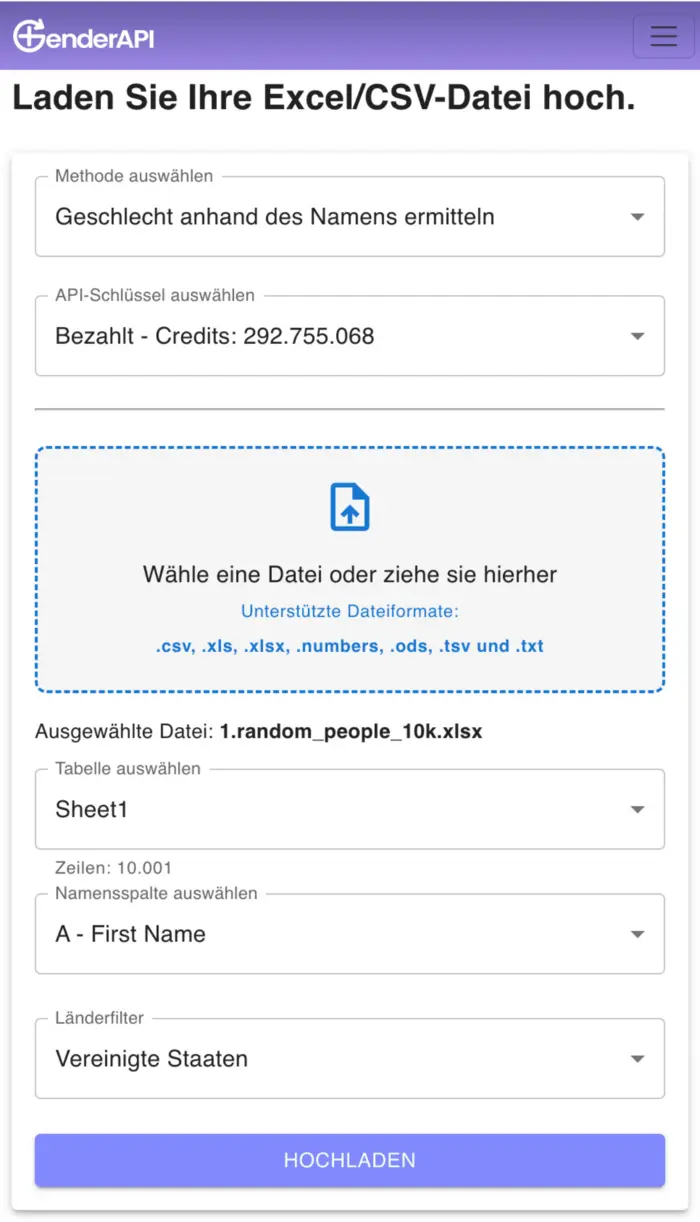 Gender API Excel CSV App