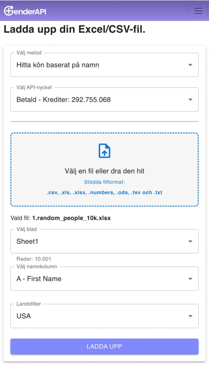Gender API Excel CSV App