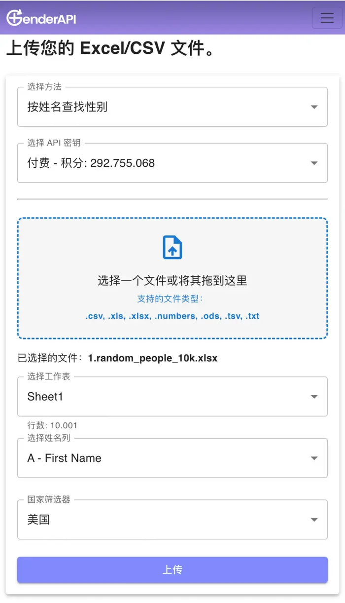 Gender API Excel CSV 应用
